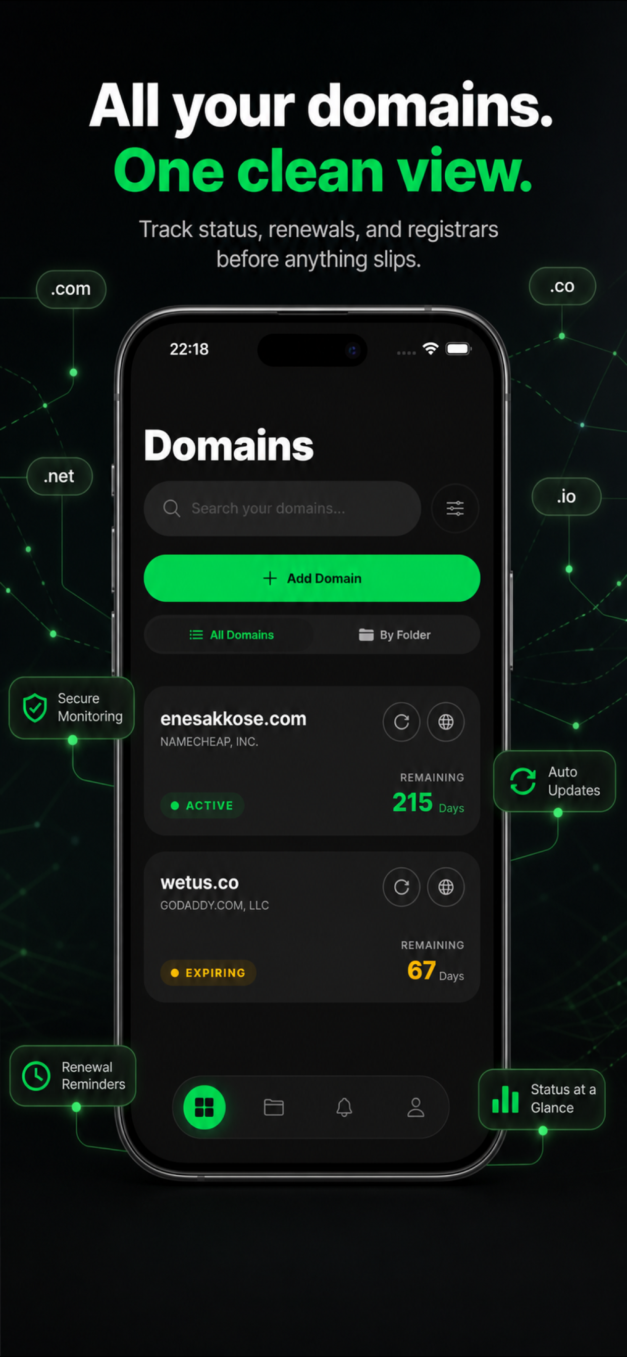 Domain Organizer app showing all domains with renewal status