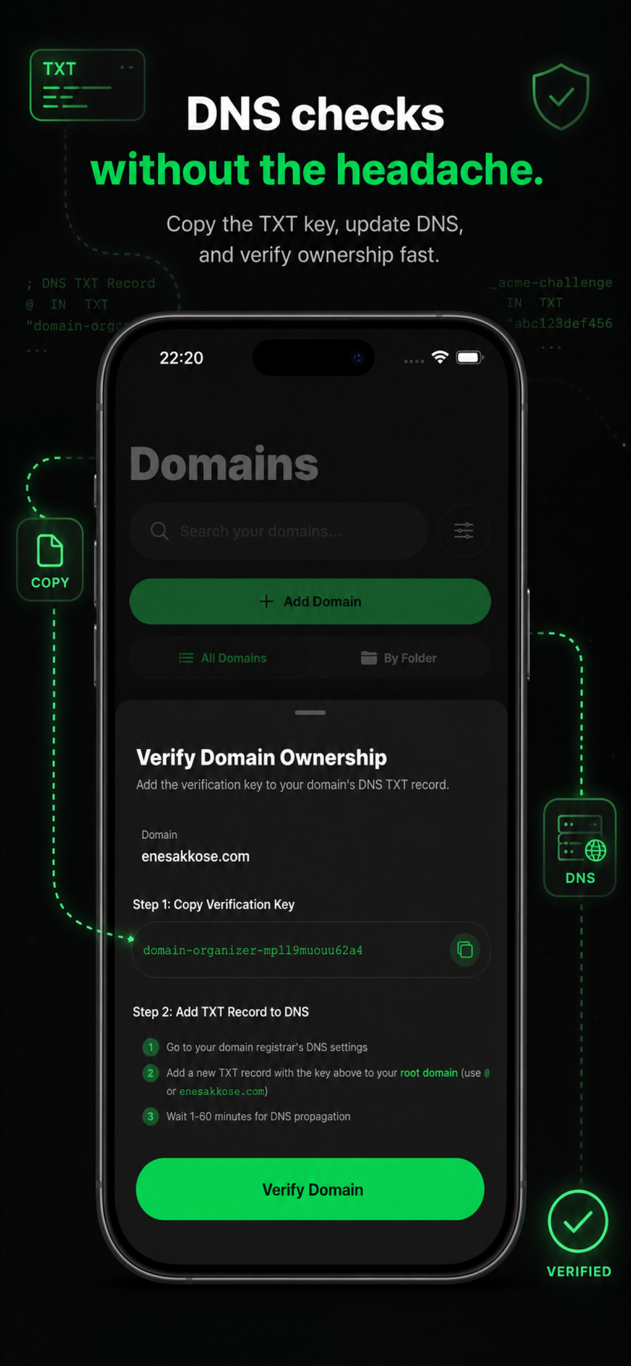 DNS checks screen in Domain Organizer